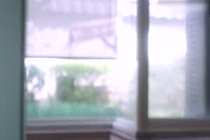 麻豆 沈娜娜 温泉会馆NTR之旅 性欲释放的欢愉之夜  背景图片