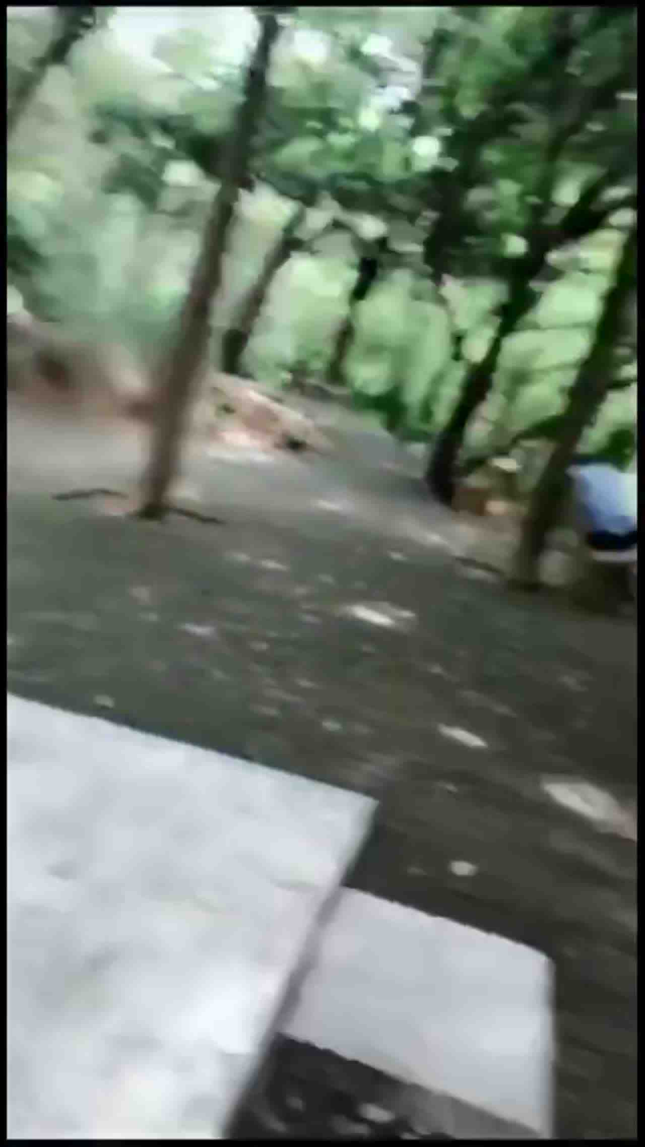  公园玩耍 的剧照7