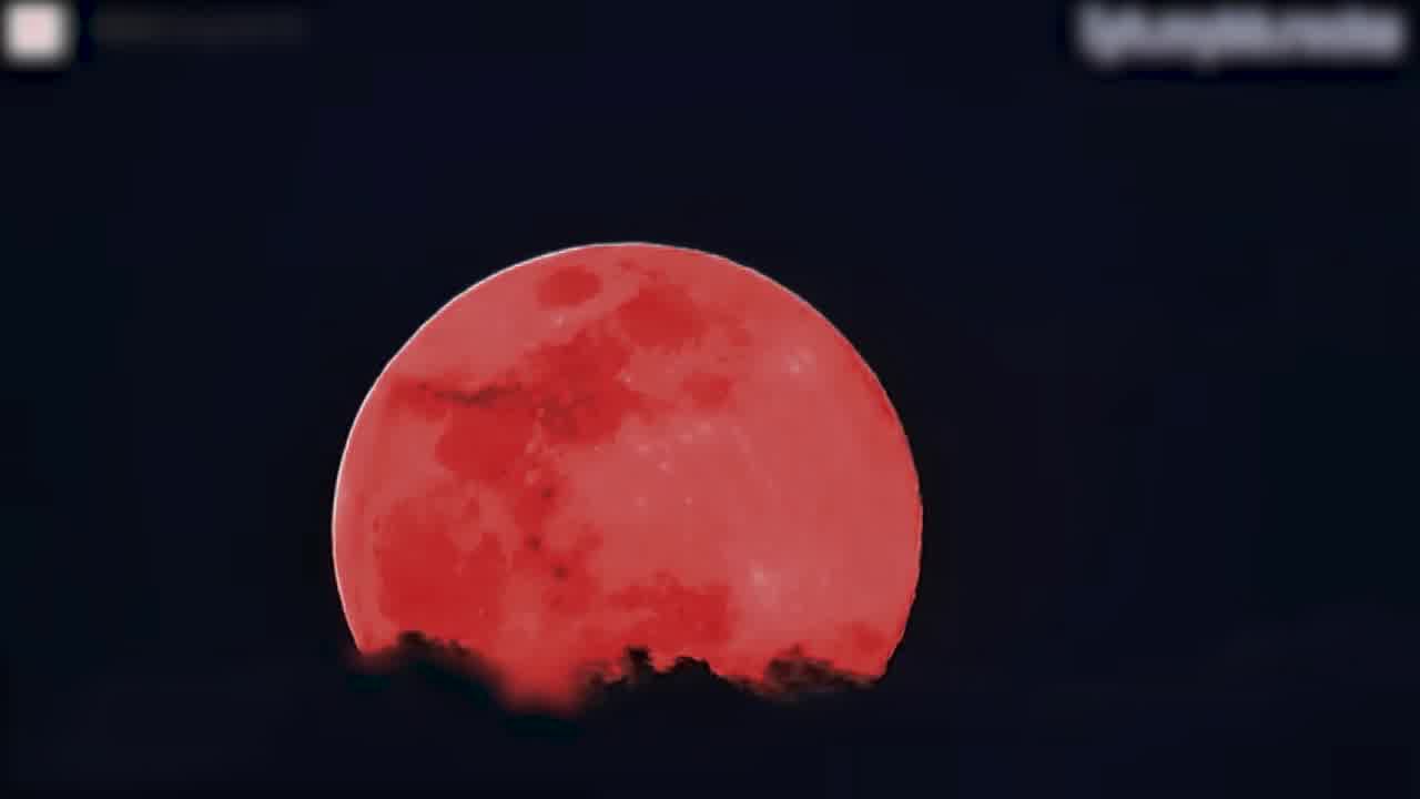  大神〖鸡教练〗二次元风本想要性感御姐的我竟然召唤出一只傲娇小萝莉，不甘心的被小萝莉全部榨干了 的剧照10