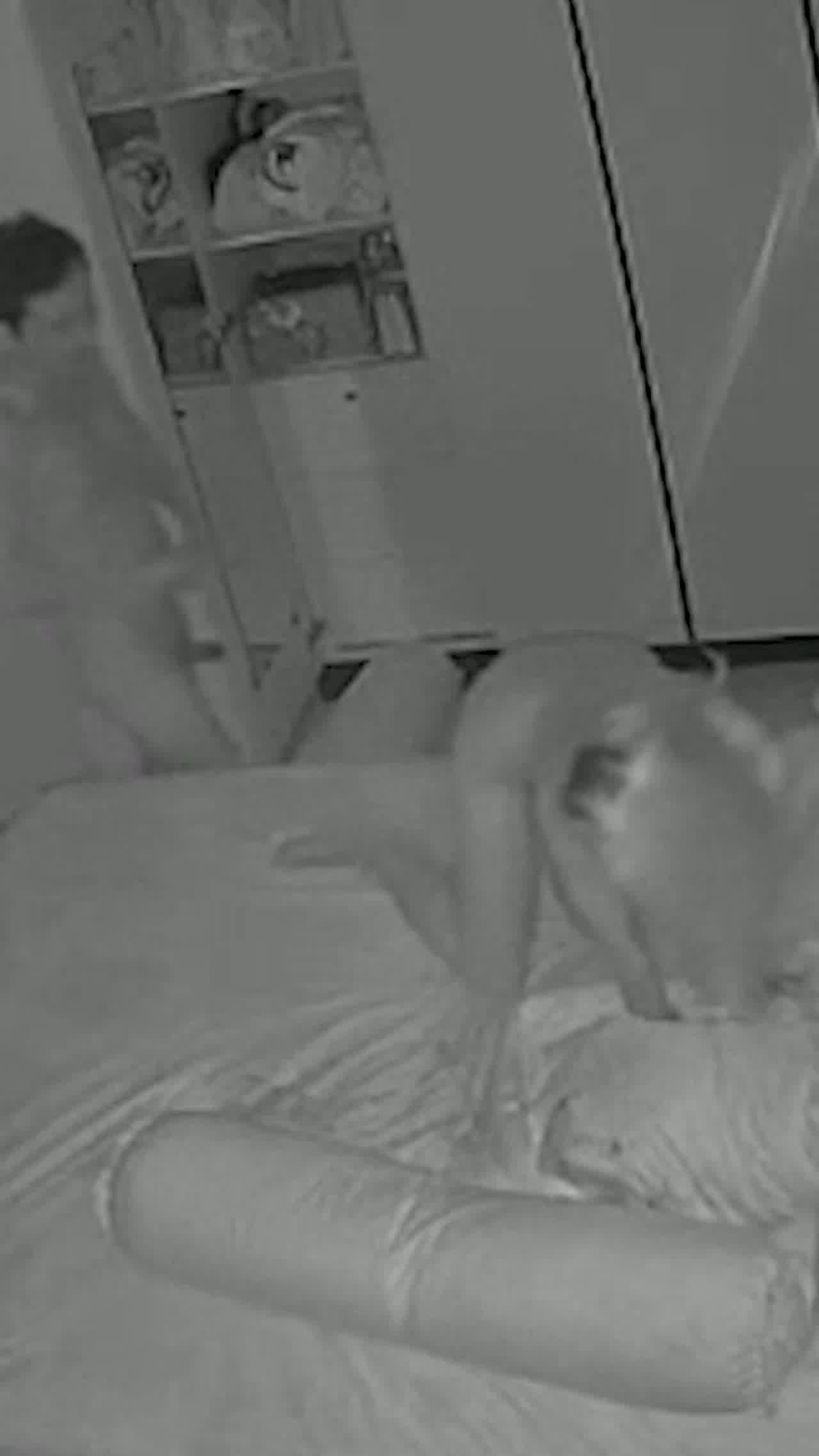  门事件 河北雄县公安局长 邱延青 婚内出轨被情妇举报 激情做爱监控视频曝光全网 的剧照5